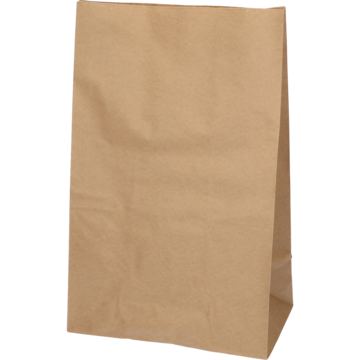 55571210 PAPER BAG BROWN 22/14X35CM