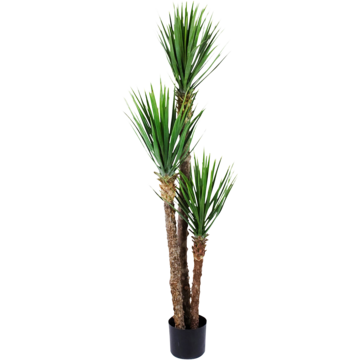 7334150 Konstväxt Yucca Rostrata 150cm