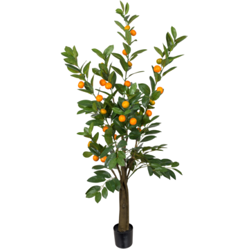 7012150 Konstväxt Citrus 150cm