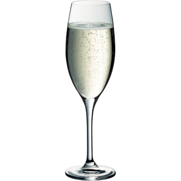 W5800100029 Champagneglas 25cl