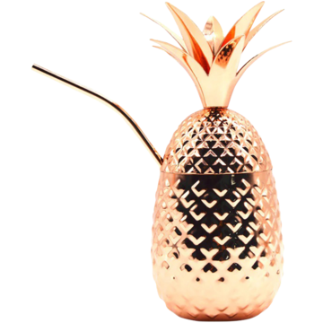 10801600COP Mugg Ananas M. Sugrör 455ml*