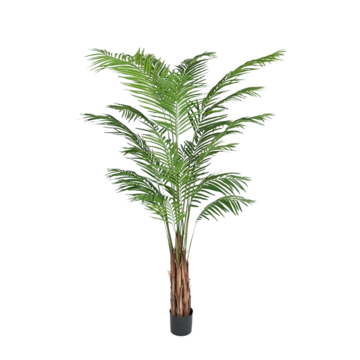 7149210 Konstväxt Areca Palm 210cm