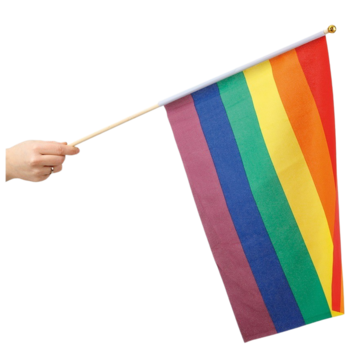 HIS78683 Rainbow Hand Flag 30x40 cm