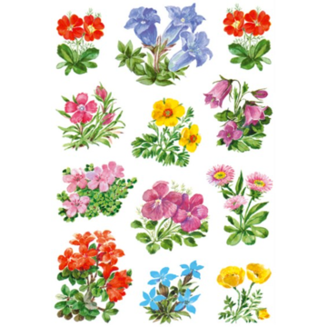 3582 Stickers Dekor Blommor