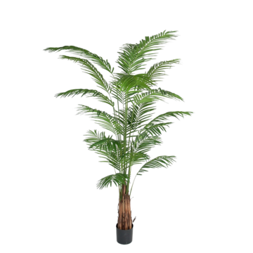 7149240 Konstväxt Areca Palm 240cm