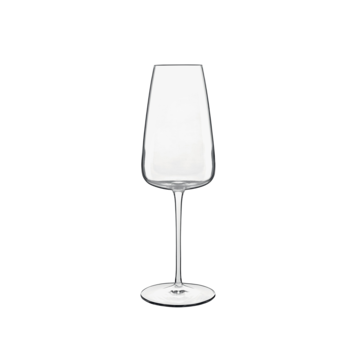 LBM17433 Champagneglas Talismano 40cl