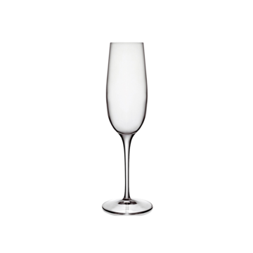 LBM21296 Champagneglas Palace 23,5cl