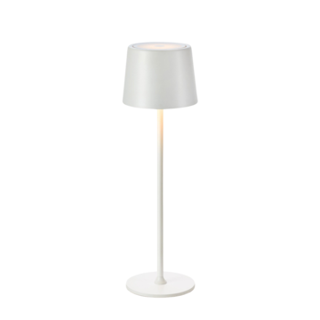 MS110 Bordslampa Fiore USB Matt