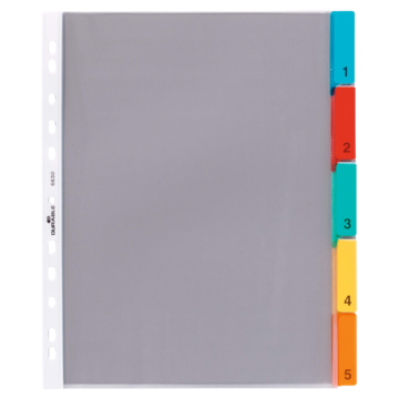 DU663019 Durable Plastficksregister A4