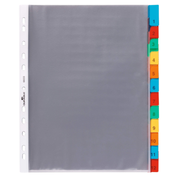 DU663319 Durable Plastficksregister