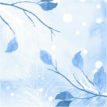 119204436 Servett Frosted Winter 40x40c*