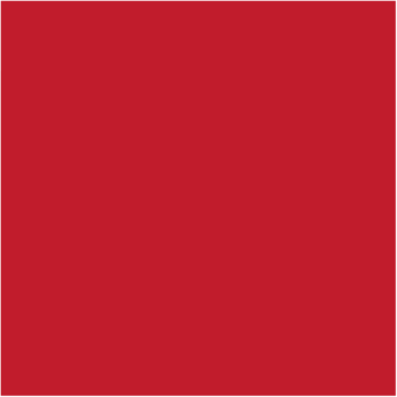 119197311 Servetti Dunilin Red 48x48cm