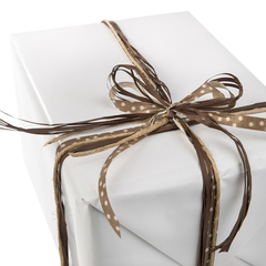 FP4403200 Presentpapper Otryckt Vit