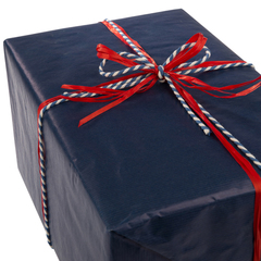 FP4404214 Presentpapper Blå RibbAd