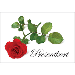 83506800 LAHJAKORTTI RUUSU KUORELLA