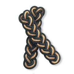 SE1101999 Axelklaffar Guld Segers 1101