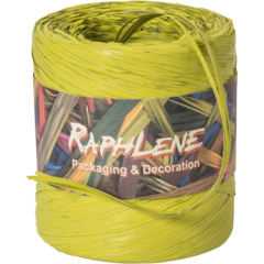 3221270 Bastband Limegrön 200m