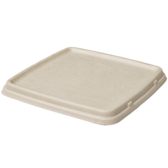 519519300 Lock Bagasse Art 49132 & 49148