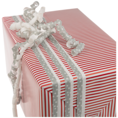 FP4400032 Presentpapper Jul Lackrand Röd