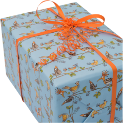 FP4406224 Presentpapper Tropical Bird