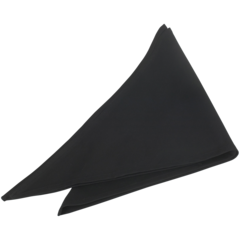 SE05612570150 Sjalett Segers 0561 96x56cm*