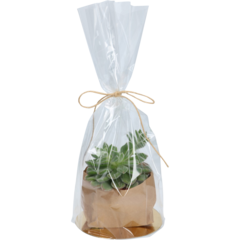 3001652 Cellofanpåse 16x50cm