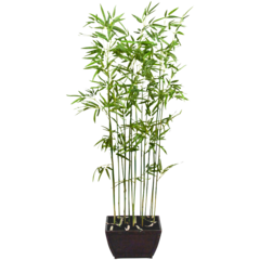 7456160 Konstväxt Bambu 160cm