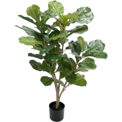 7158090 Mr Plant Konstväxt Fiolfikus