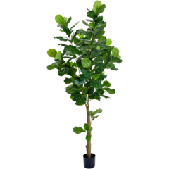 7158210 Artificial Fiddle Leaf Fig Plant 210cm