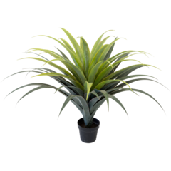 7329110 Konstväxt Agave 110cm