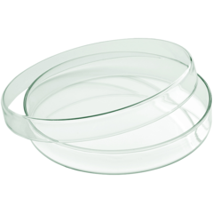 PLA32 Glasskål med Lock Playground