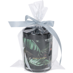 4001525 CELLOFANPOSE 15X25CM