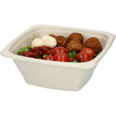226633 SKÅL BAGASSE 100CL