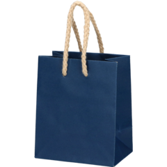 5102229509 Deluxekasse 10x6,5x12cm Blå