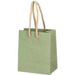 5102233509 Deluxekasse 10x6,5x12cm Grön