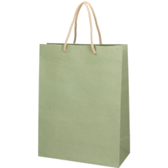 5102234509 Deluxekasse 22x10x29cm Grön