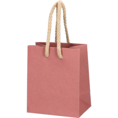 5102232509 Deluxekasse 10x6,5x12cm Rosa