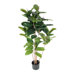7410120 Artificial Ficus Robusta Plant 120cm