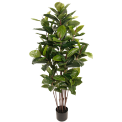 7410150 Konstväxt Fikus Robusta 150cm