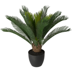 9704901 Konstväxt Cycas 70cm