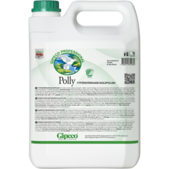 161223-2 Ytförstärkare Gipeco Polly 5L*
