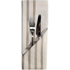 FM458012 KANGASSERVETTI TASTE BG 50X50