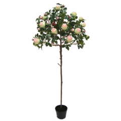 7354170 Konstväxt Ros Rosa 170cm