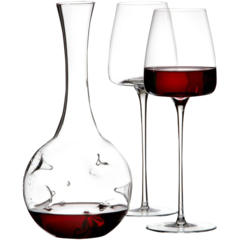 Z4892PB Dekanterare Eddy-Mini & Vinglas Straight 2-pack från Zieher