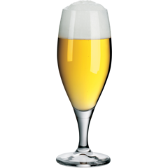 W5800300011 Ölglas WMF Manhattan 38cl