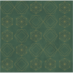 119197086 SERVIETT GILDEDSTAR GR 40X40CM