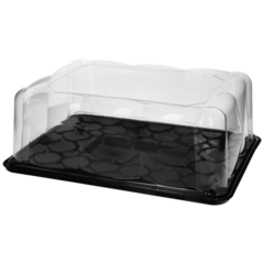 4786 Kakkurasia & Kansi 35,3x27,6x12cm