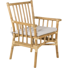 VD1214570 Karmstol Cane