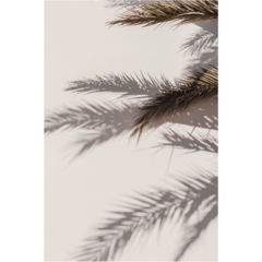 VD60009 Venture Poster Shadow