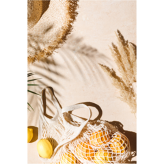 VD60041 Poster Beach